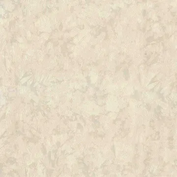 Asian Fantasia 206103