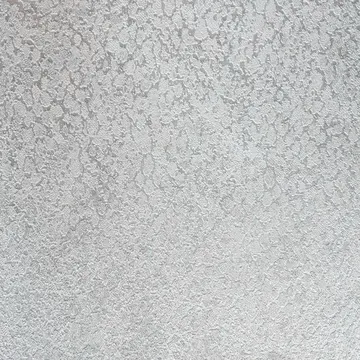 Asian Fantasia 206805