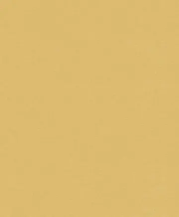 BN DOODLEEDO 0,53 x 10 m (дитячі) 220812