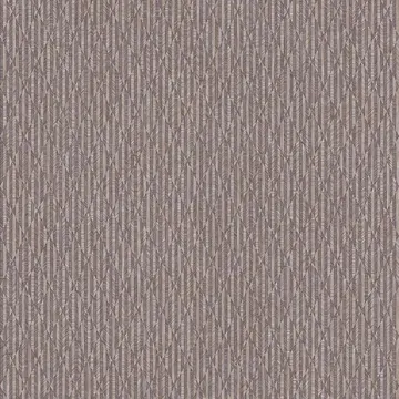 OMEGA 23205-5