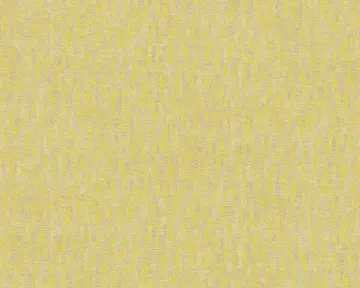 A.S. Création Titanium 2 36003-2