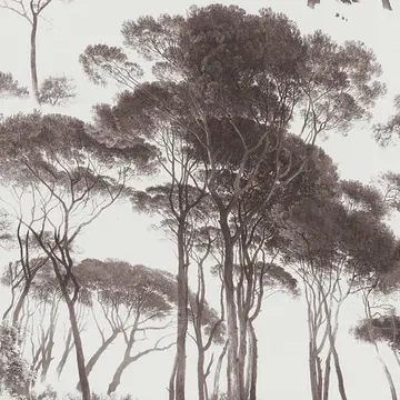 A.S. Création History of Art 37651-1