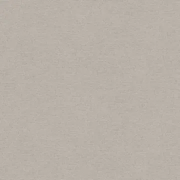 A.S. Création Tempo бавовна сірий оксамит 39591-5
