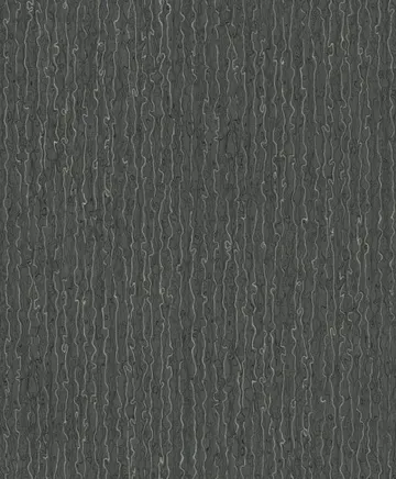 Rasch Barbara B. 452808
