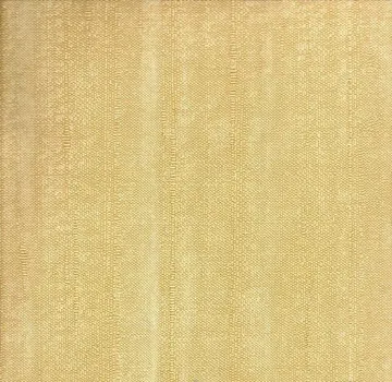 BOTTEGA TESSILE 55543