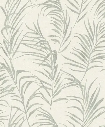 Rasch Barbara 3 560855