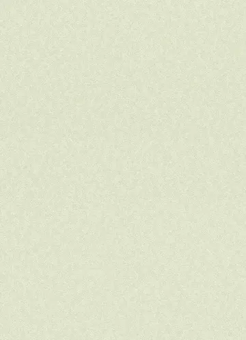 Erismann 5684-07-1,06 5797-07 Розпродаж
