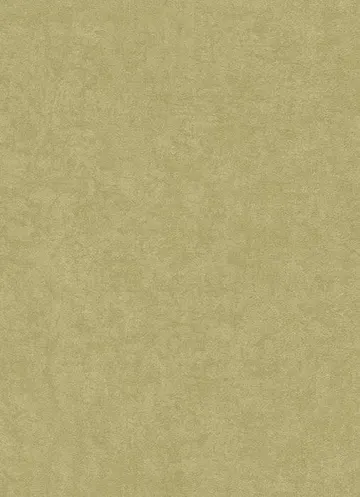 Erismann Countryside 5967-07