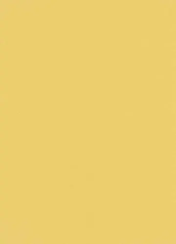 Erismann Instawalls 6342-03