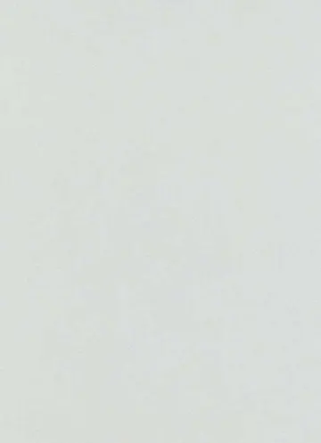 Erismann Instawalls 6342-31