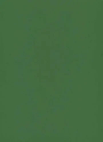 Erismann Instawalls 6342-35