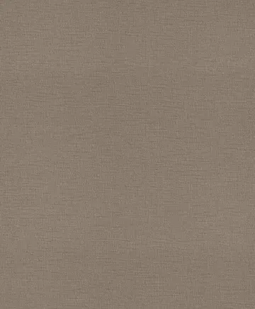 Rasch 716955