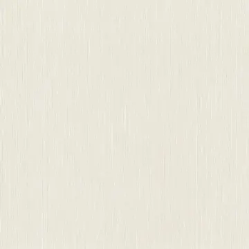 RASCH METAL SPIRIT-1,06 977219