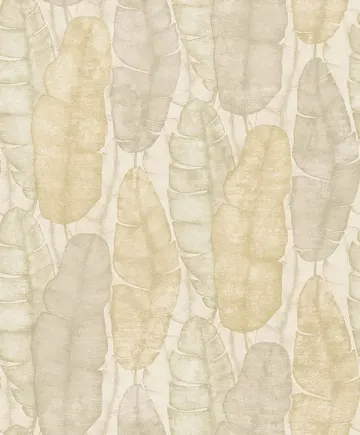 Parato Concetto (2019) 9803