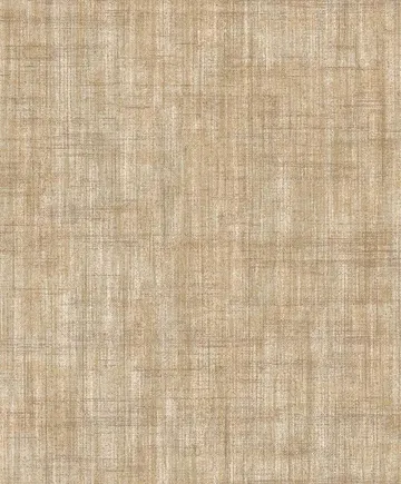 Parato Concetto (2019) 9877