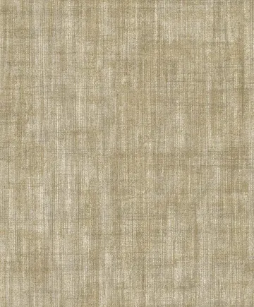 Parato Concetto (2019) 9879