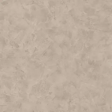 Texdecor Patine2 штукатурка сіро-коричнева PAE100221720