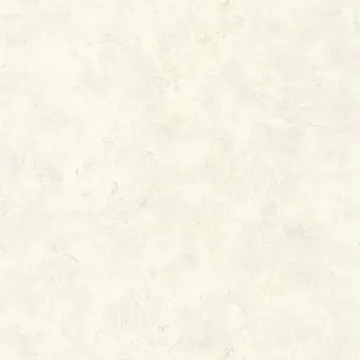 Texdecor Patine2 штукатурка небесна PAE100227129