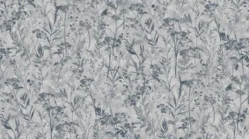 Sintra HERBARIUM 252901
