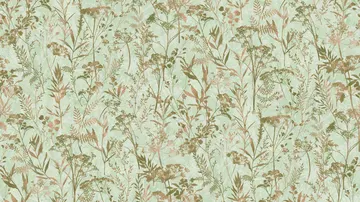 Sintra HERBARIUM 252918