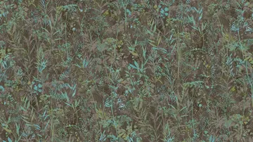 Sintra HERBARIUM 253021