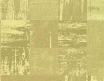 Vetiver 33423