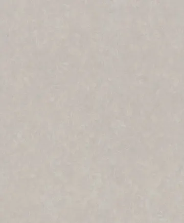 Rasch Modern surface II 512632