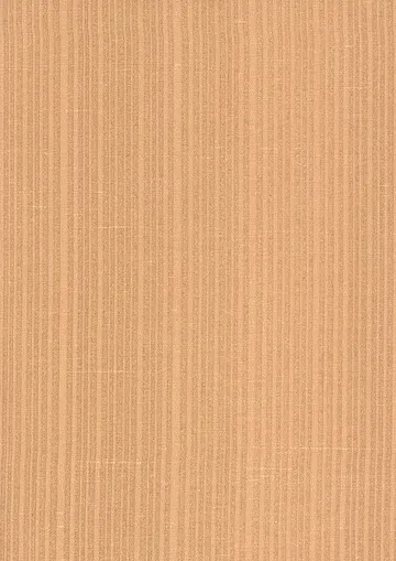 DI Seta 58904