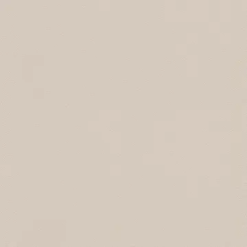 Rasch Modern surface II 607796