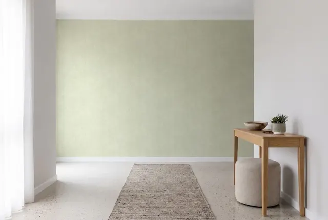 Texdecor Patine штукатурка аспарагус PAI100227440 в інтер'єрі