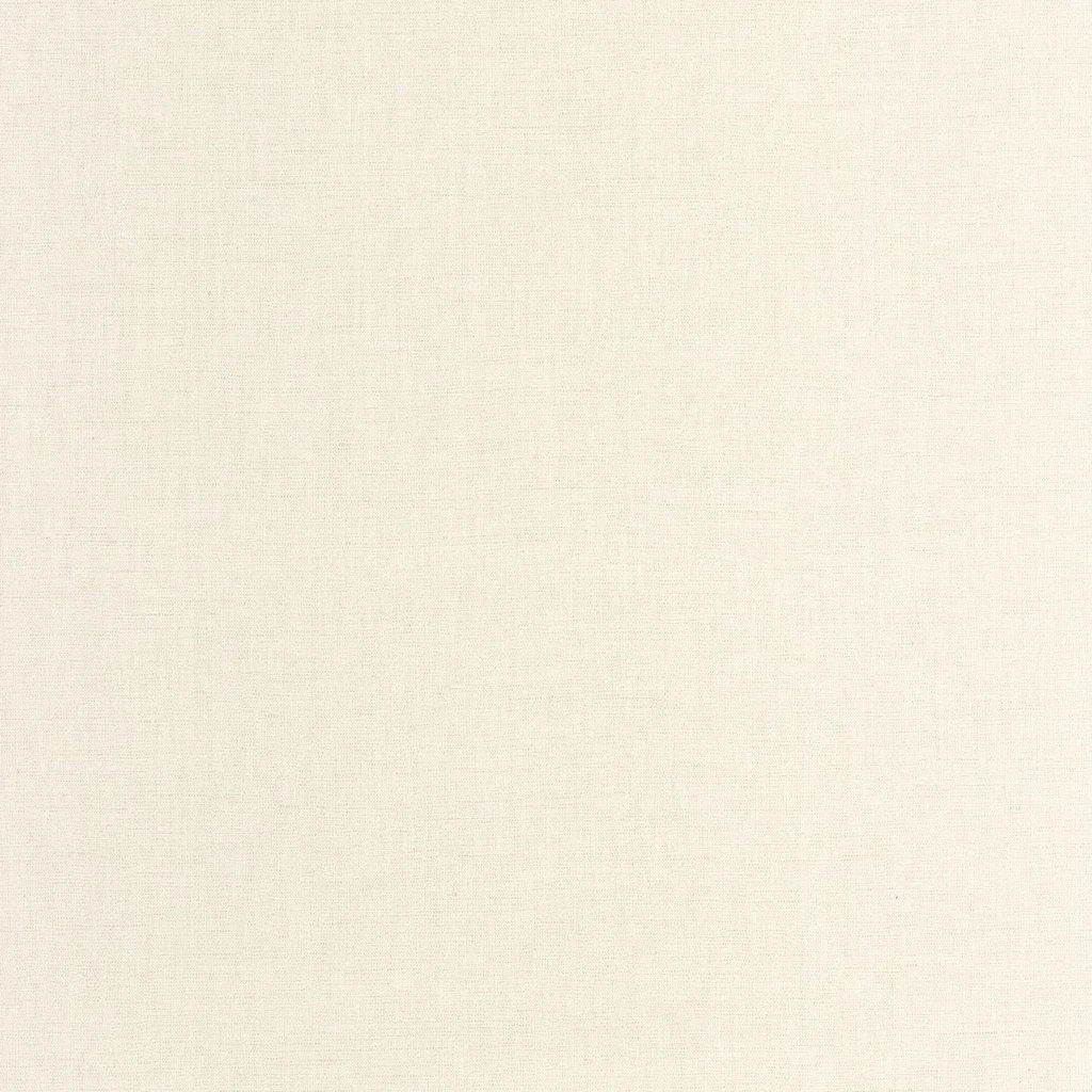 Texdecor LINEN2 світло-димчастий LNI103221012