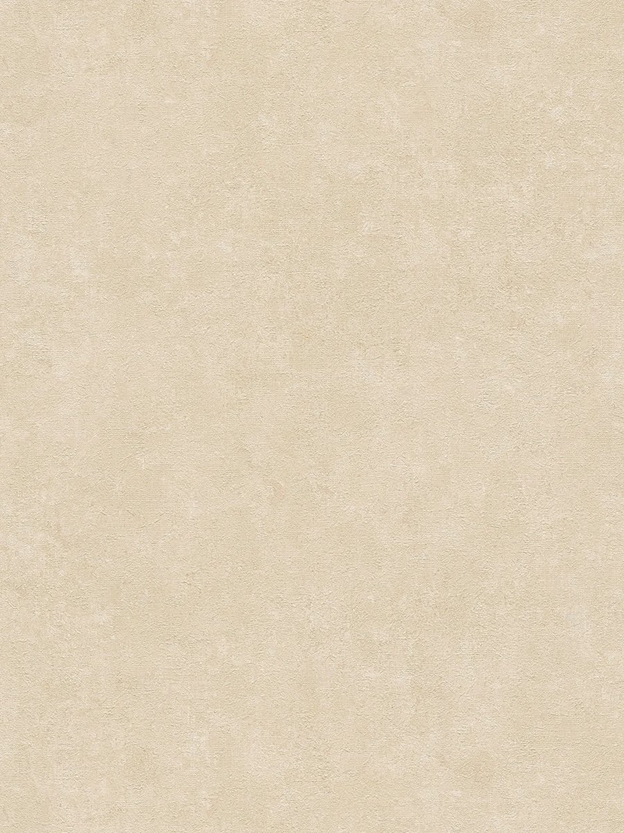 A.S. Création History of Art 37656-7