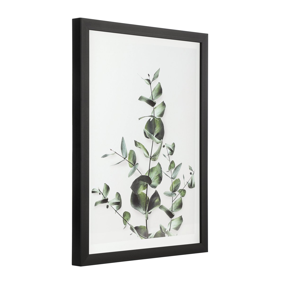EGLO Репродукція друкована в рамці 325x425 "Ровервол"
