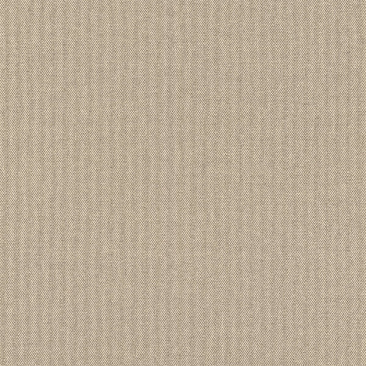 Rasch 960709-1,06 423921