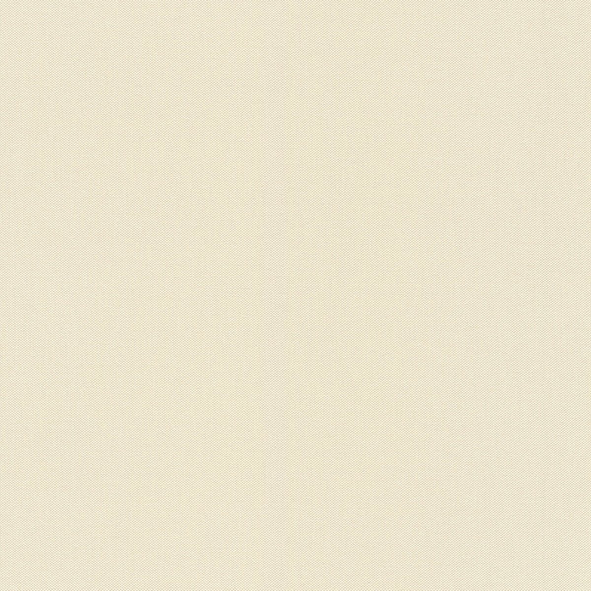 Шпалери Rasch 960778-1,06 424058