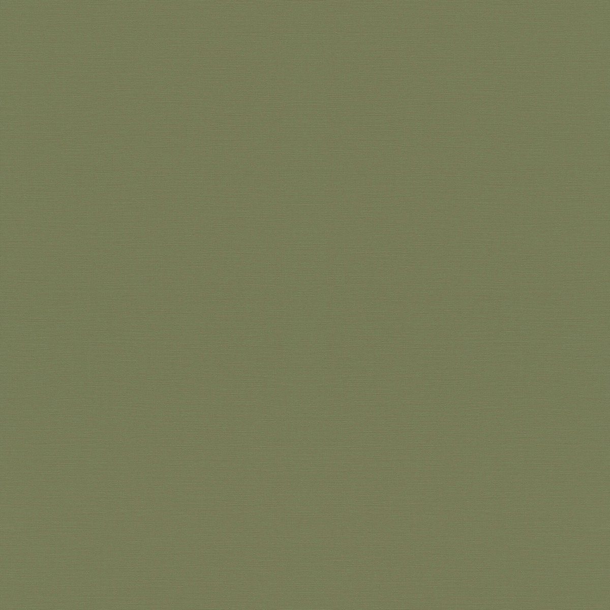 Шпалери Rasch Tropical HouseI 687538