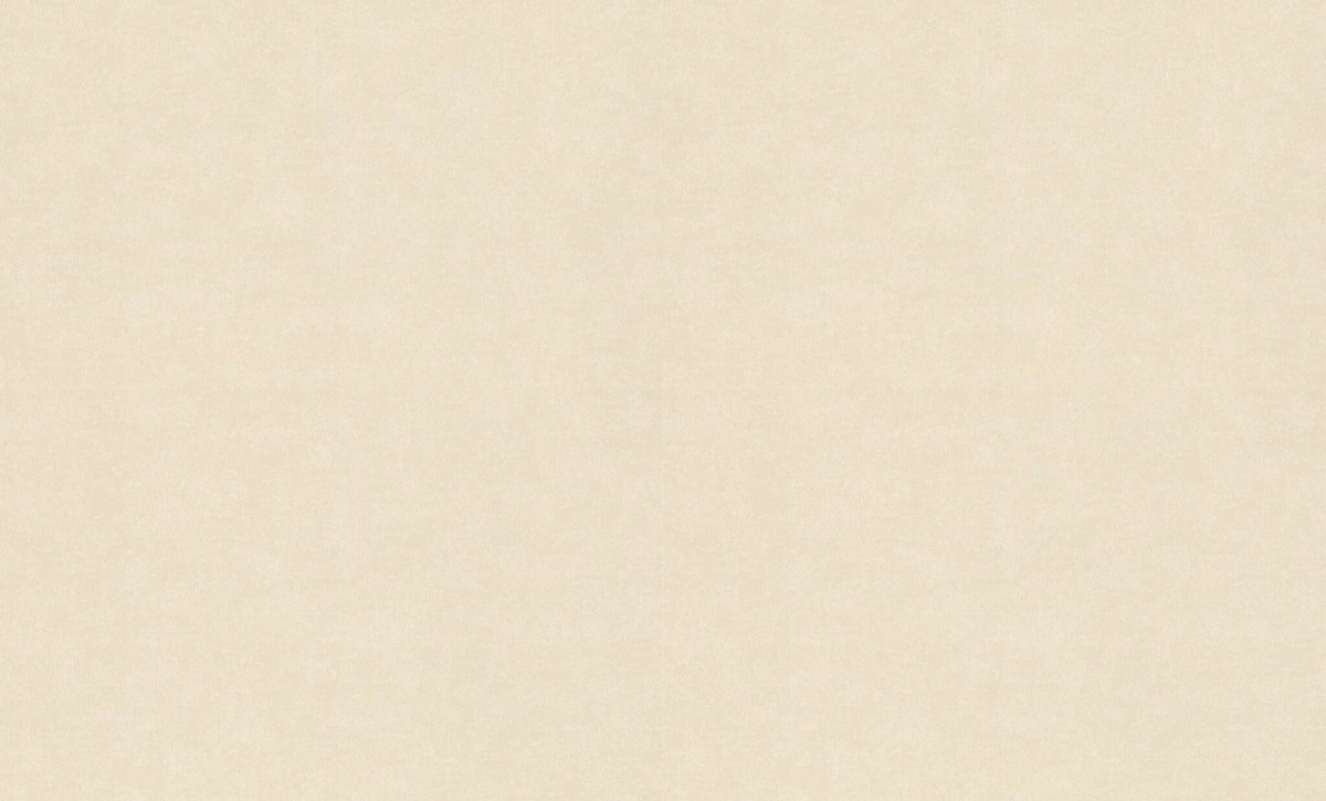 RASCH 910032