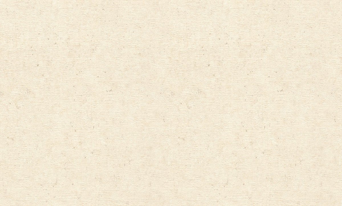 Шпалери Rasch Concrete XL 974218 Lerua