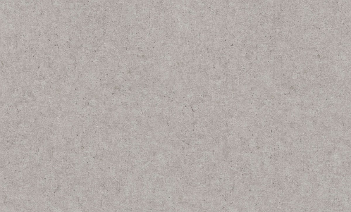 RASCH CONCRETE XL - 1,06 x 10m 974249 Lerua