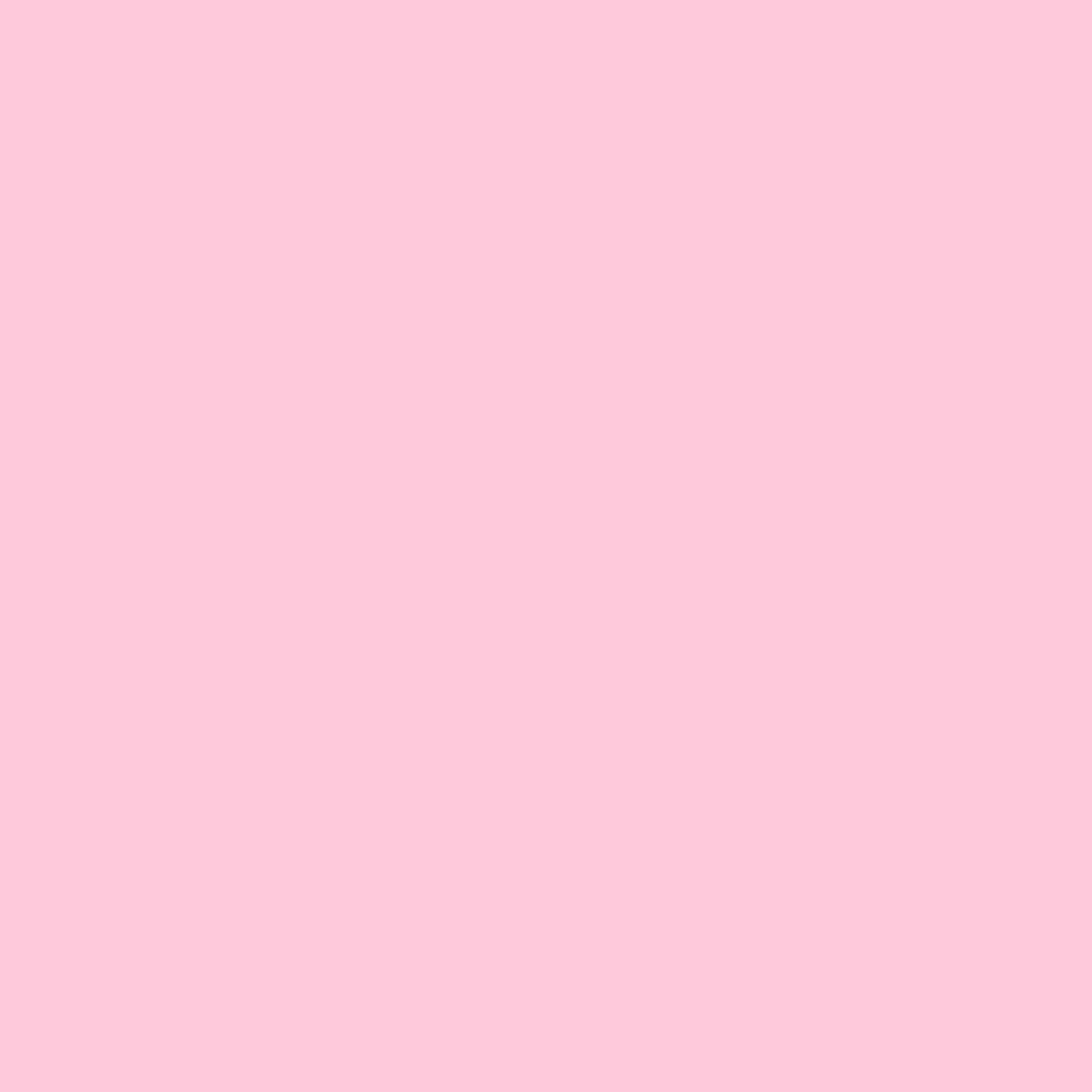 Coconet 569-2
