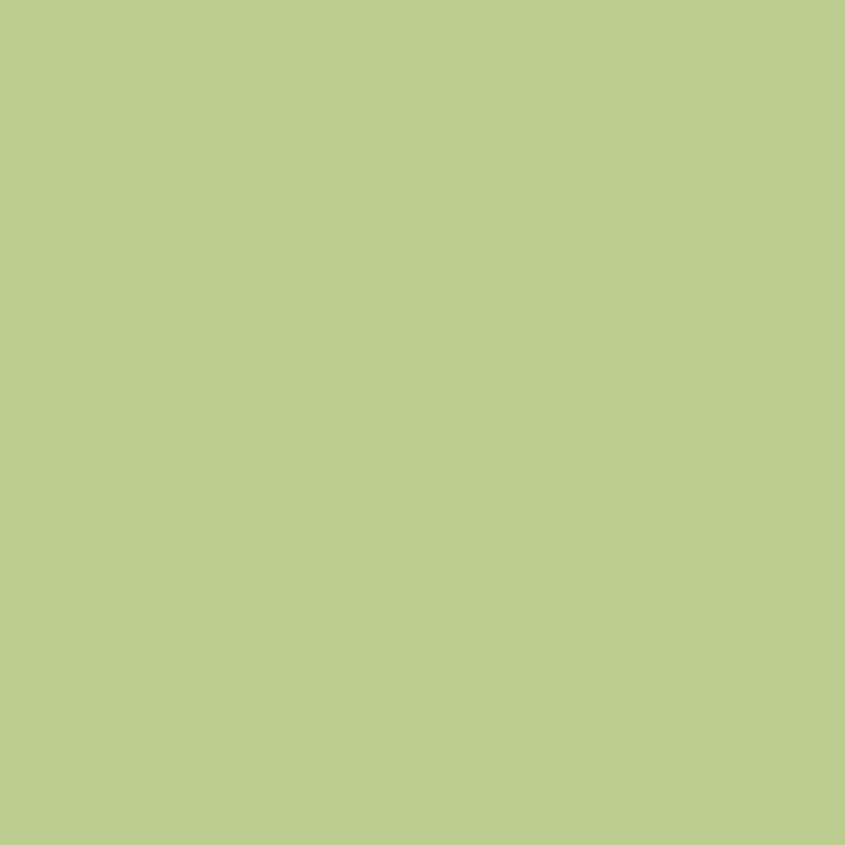 Coconet 569-3