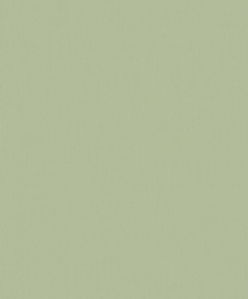 BN SMALL TALK 219223