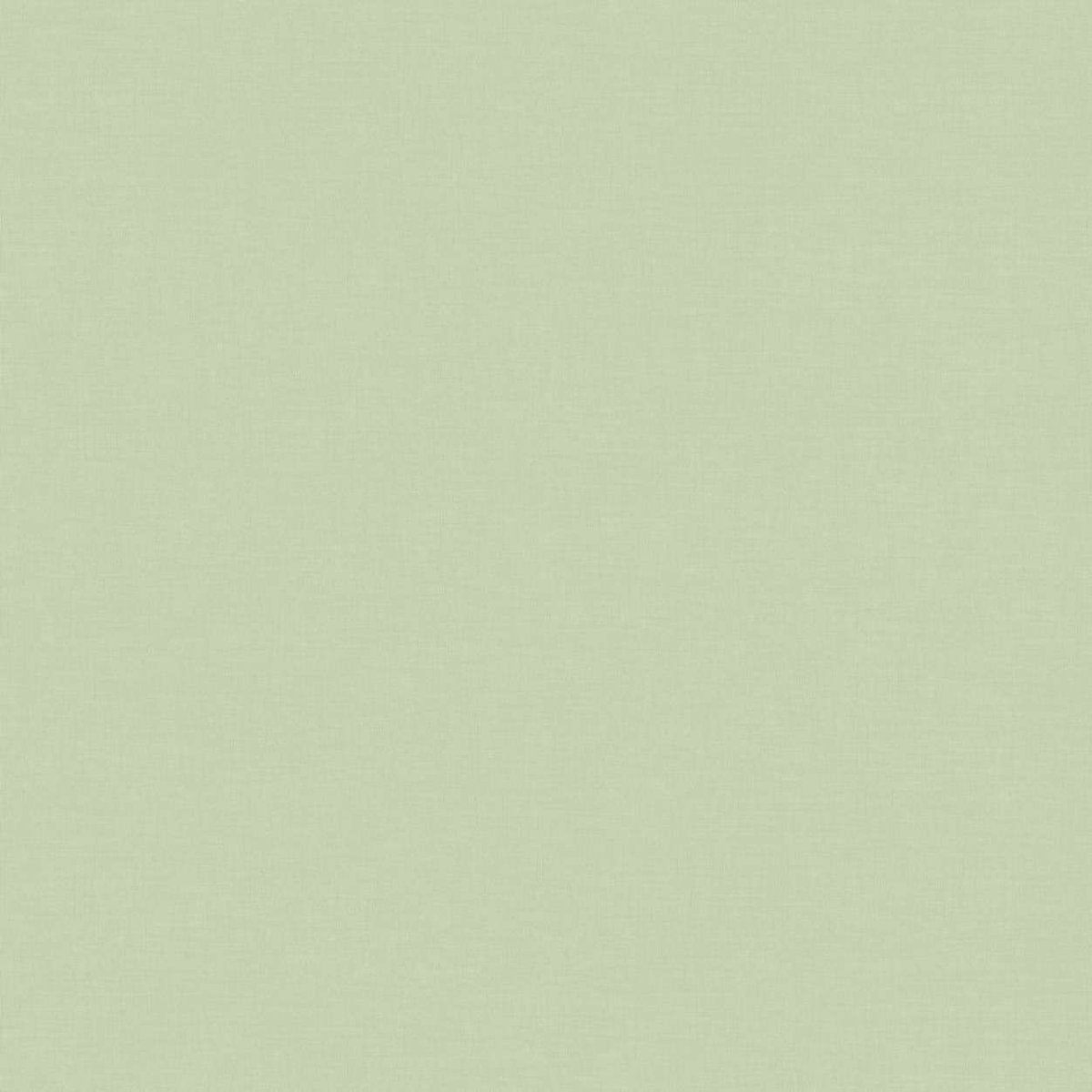 BN DOODLEEDO 0,53 x 10 m (дитячі) 220802
