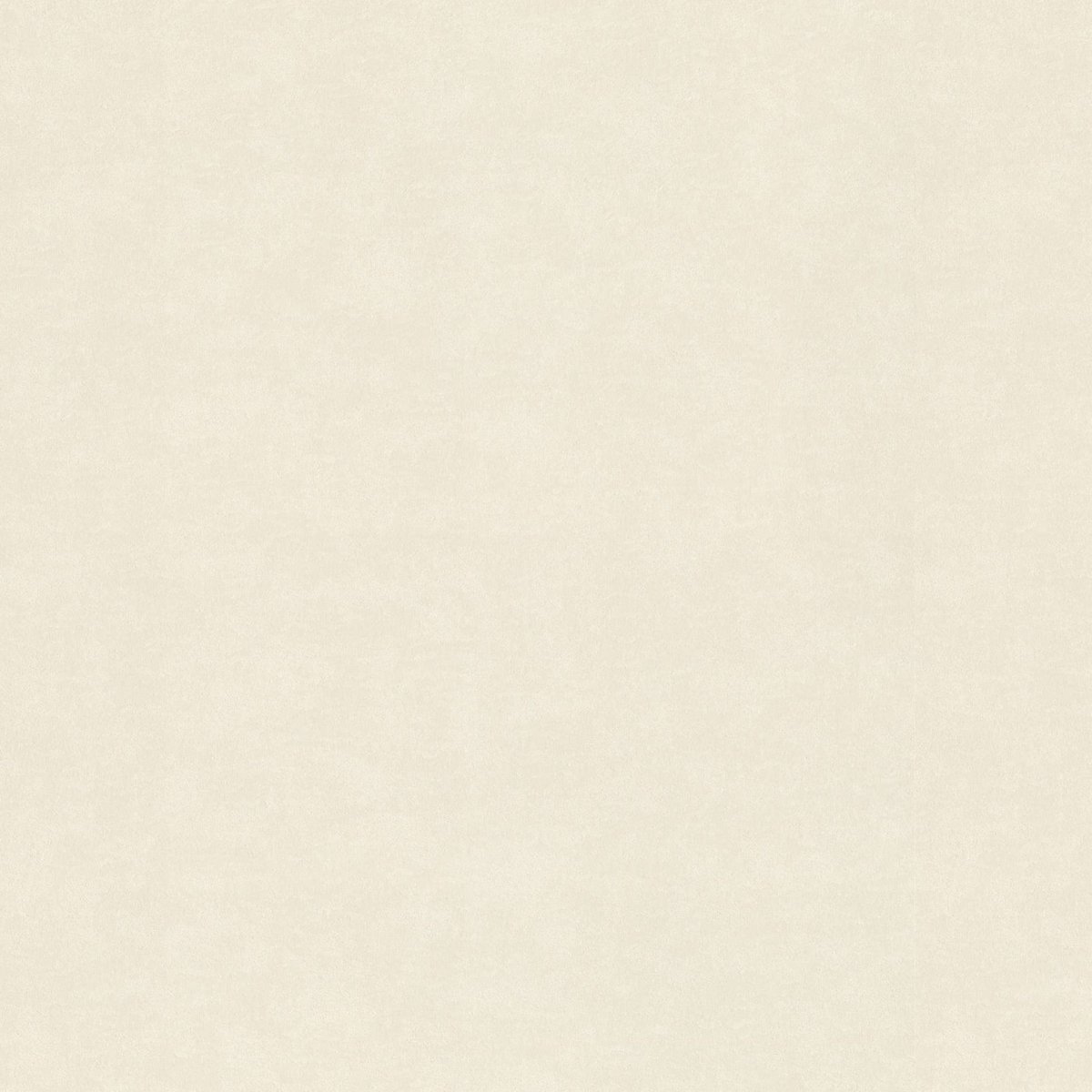 RASCH 910025