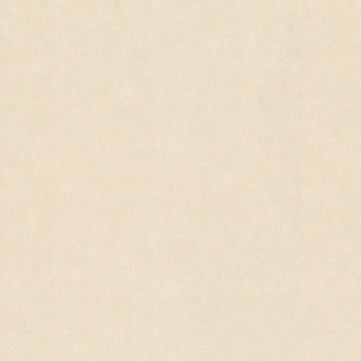 RASCH 910032