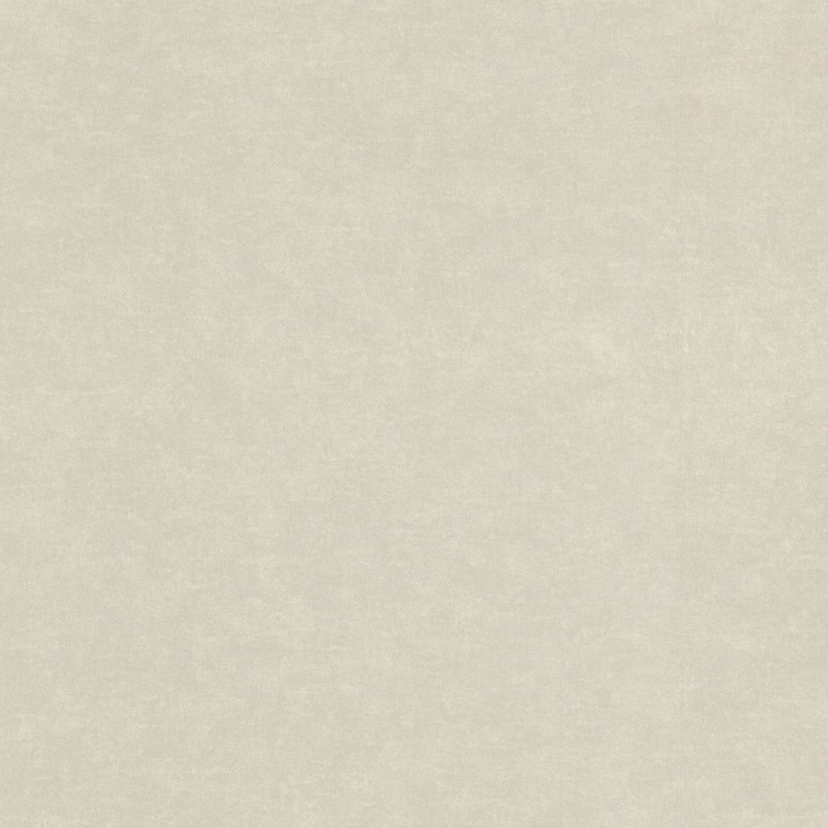 RASCH 910049