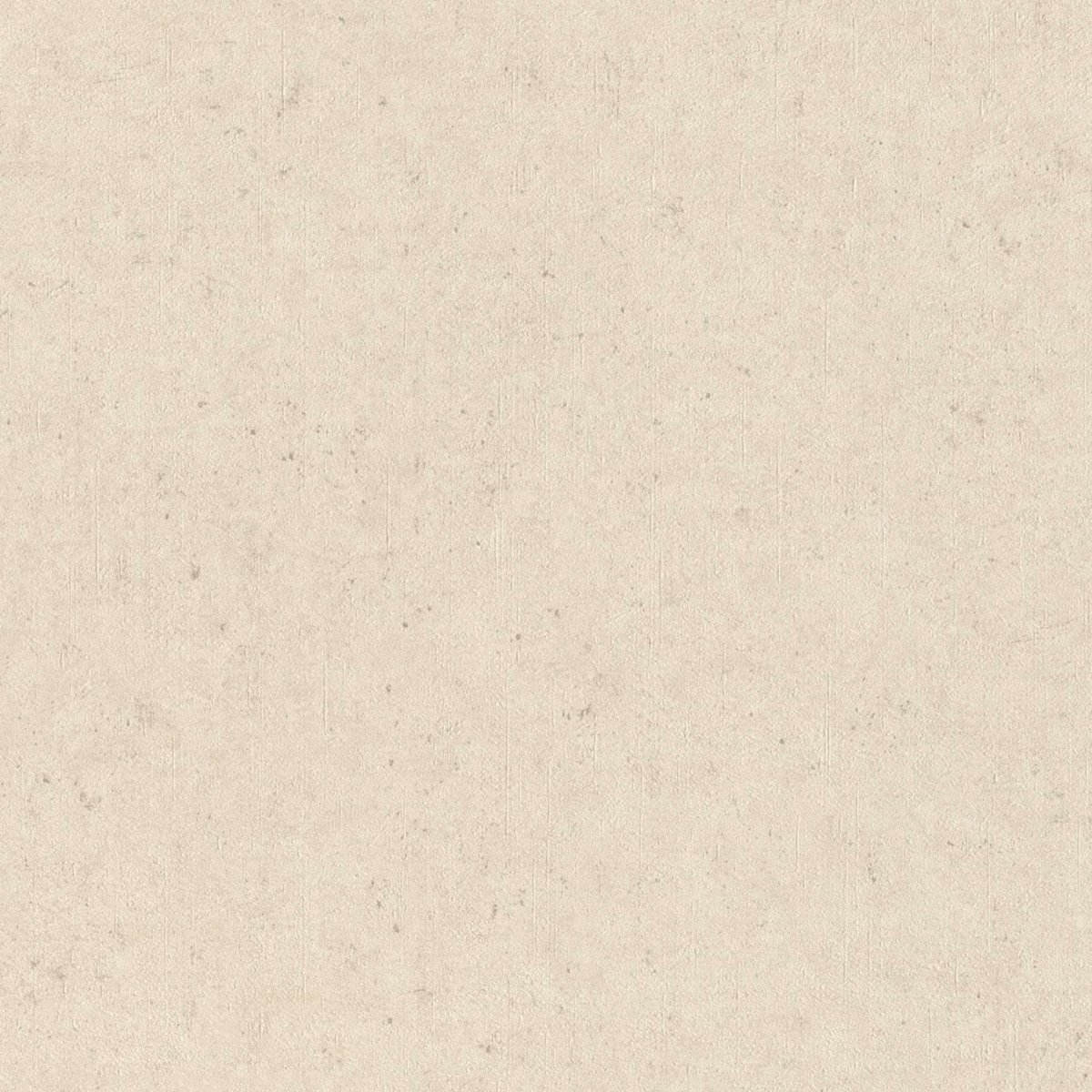 RASCH 910483