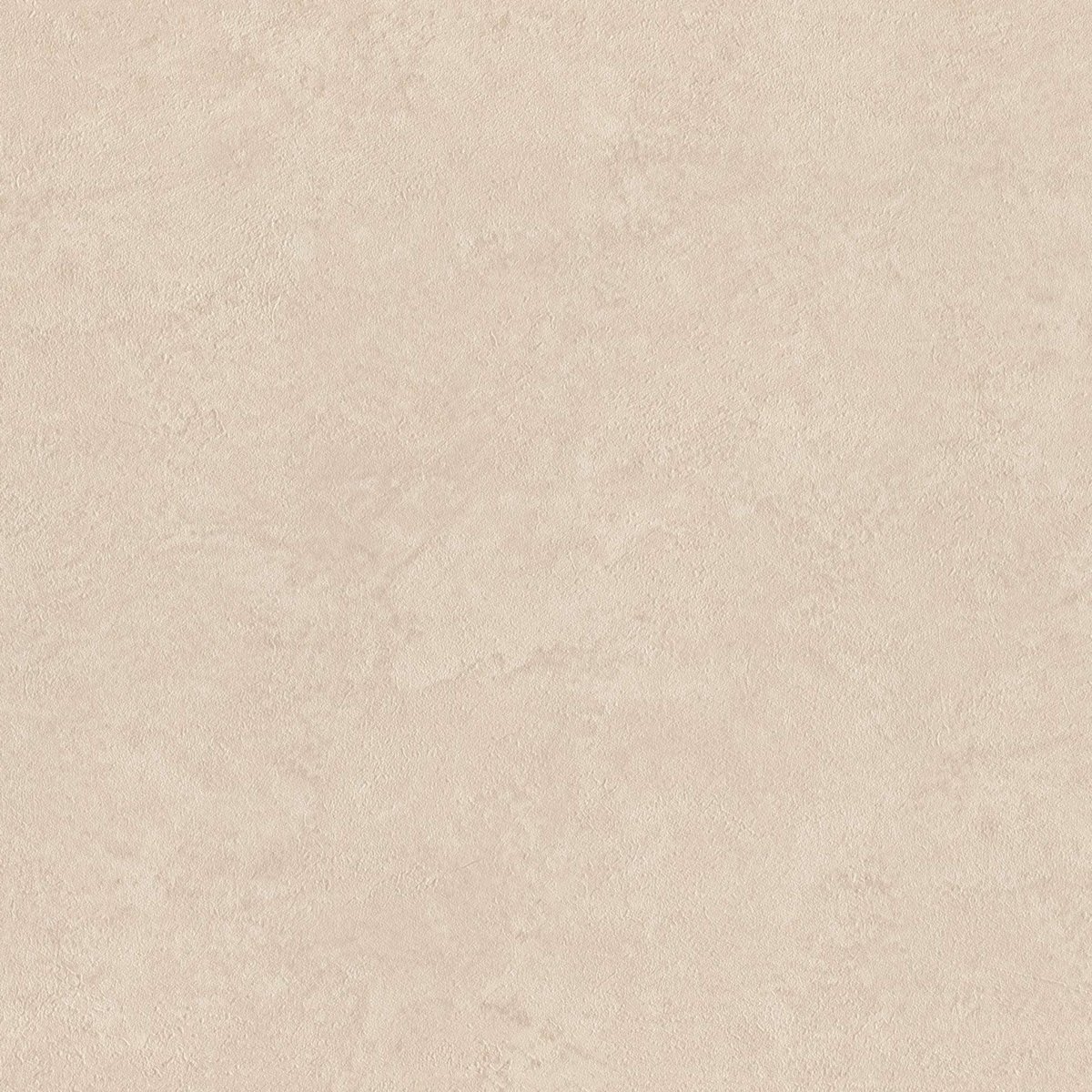 RASCH 910568