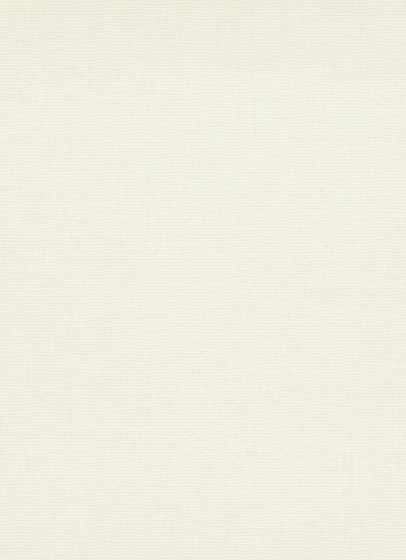 Erismann Casual Chic 12143-01