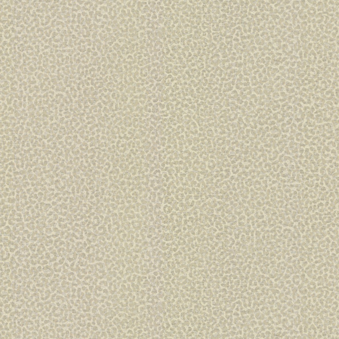 Emiliana ROBERTO CAVALLI 8 (2024) 19021